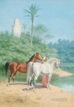 Horse Painting - far0083D13 classic figure Arabian Arabic horses